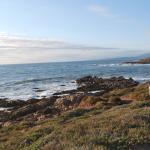Cambria_0179 (November 05, 2011)